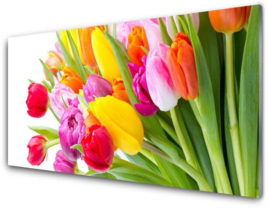 Obraz plexi Tulipány kvety rastlina 100x50 cm 2 Prívesky