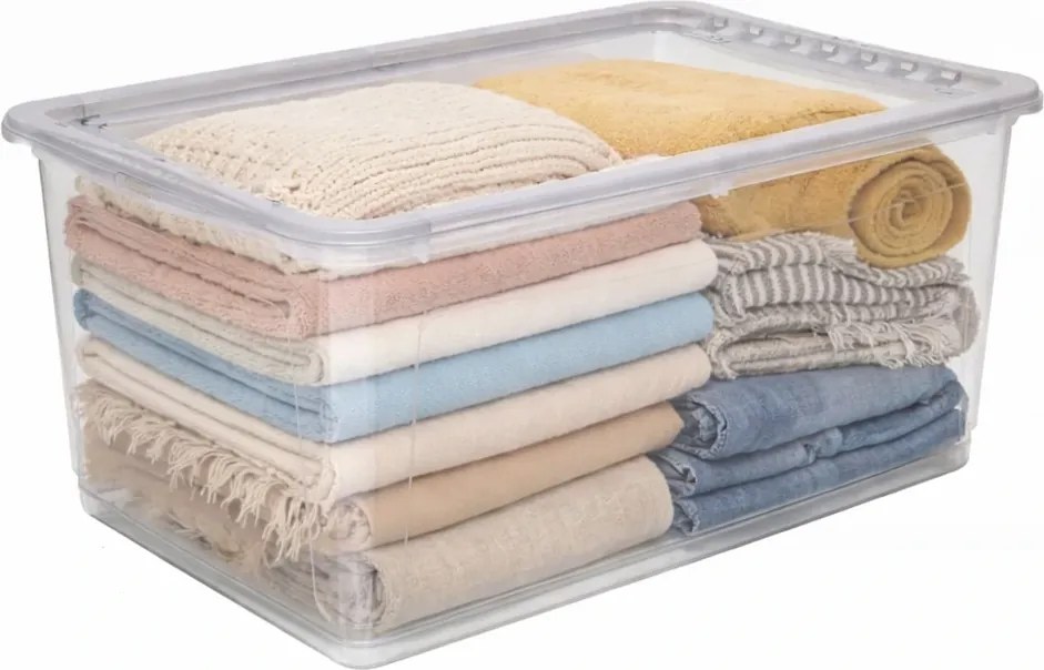 Keeeper Úložný box s vekom (má 2 funkcie) BEA Clearbox 43L, 59 x 39 x 27 cm