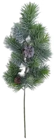 Vetvička srienistá borovica, 59 cm