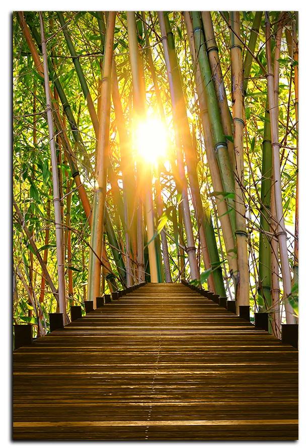 Obraz na plátne - Drevená promenáda v bambusovom lese - obdĺžnik 7172A (100x70 cm)