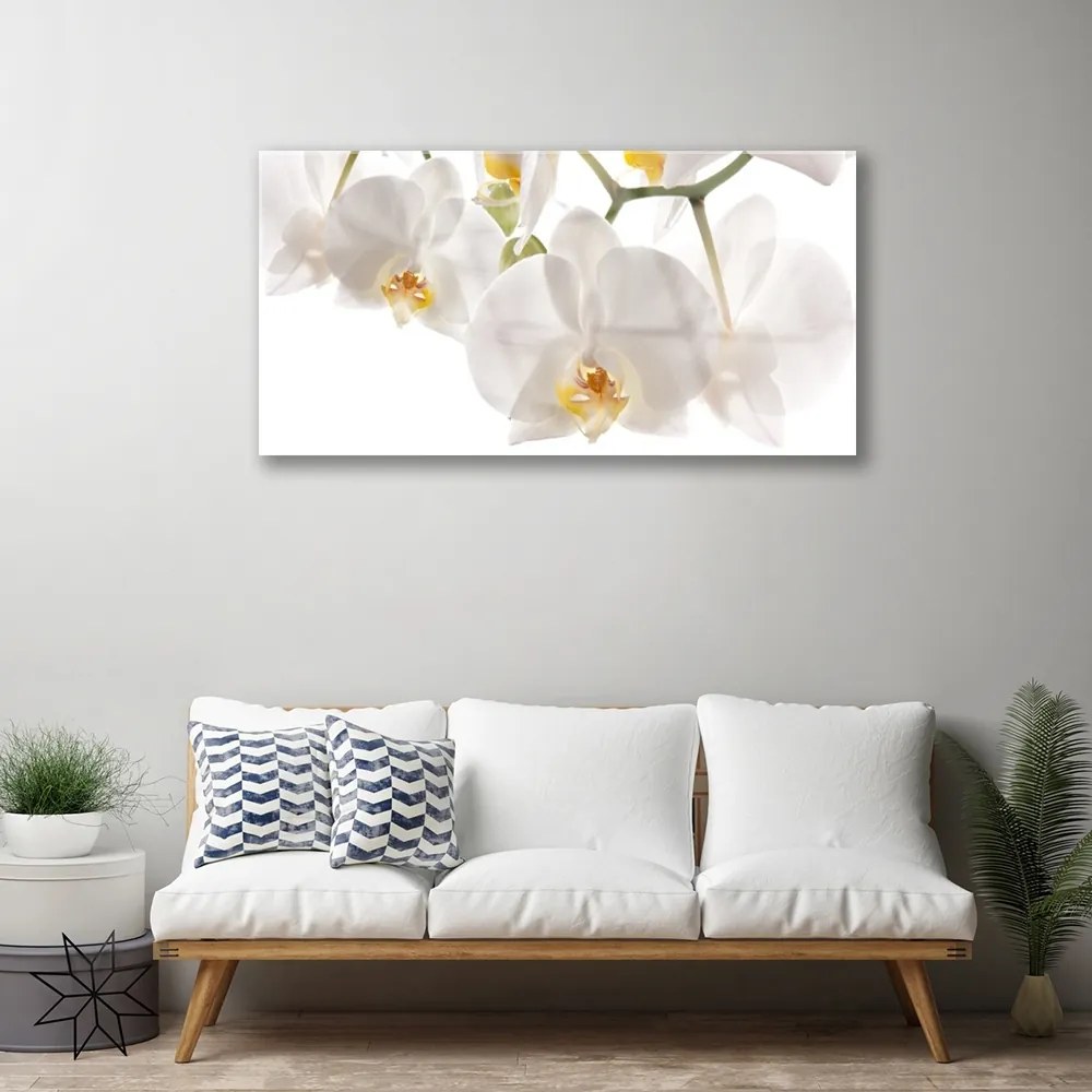 Skleneny obraz Orchidea kvety príroda 120x60 cm