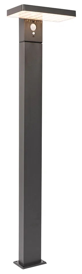 Vonkajšia stojaca lampa tmavosivá 80 cm vrátane LED a stmievateľného svetla na solár - Sunnie
