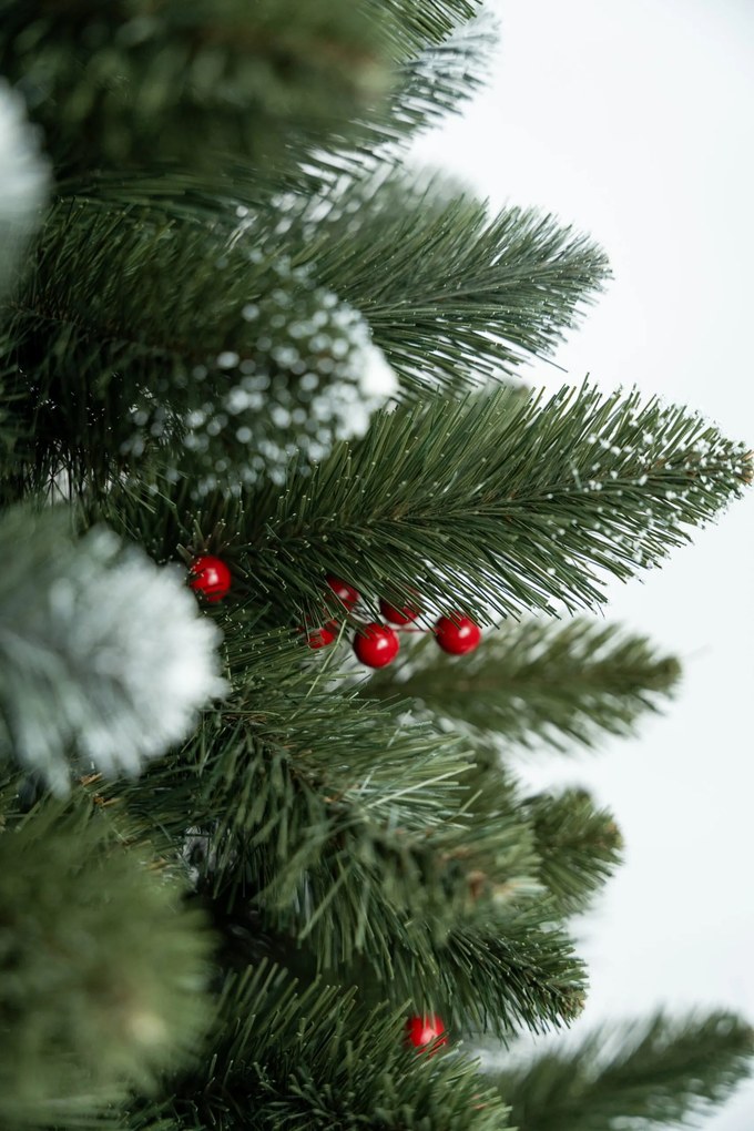 Limpol Borovica Iza s červenými bobuľami Slim Výška stromčeka: 180 cm