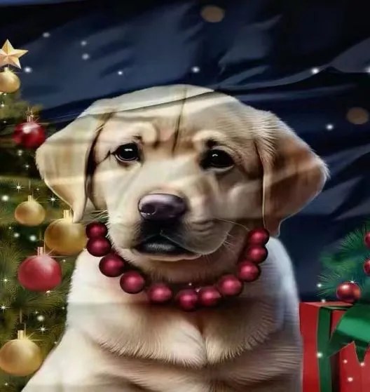 Obliečky SAVENA DOG 3-dielna sada 140x200 cm