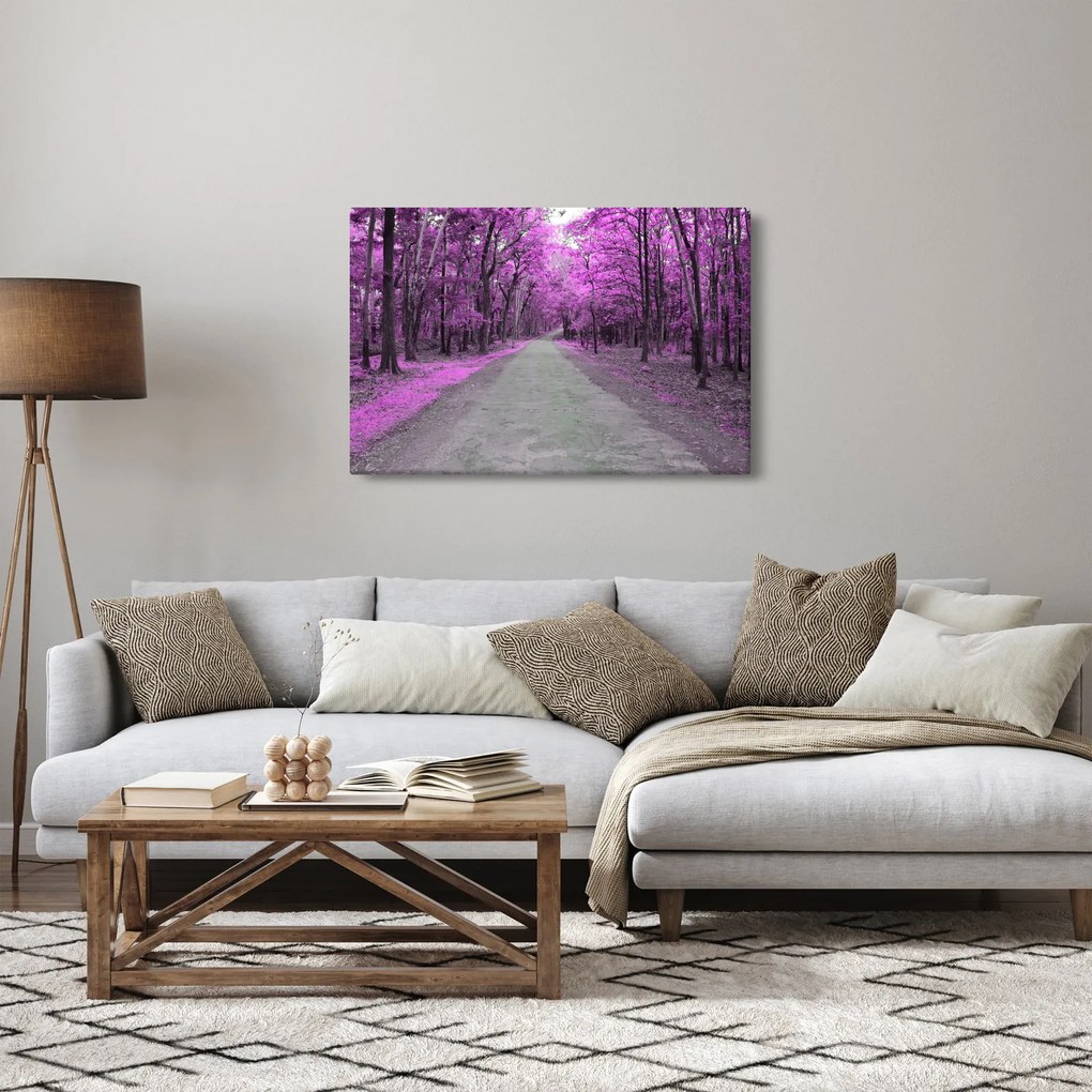 Obraz - Cesta parkom (90x60 cm)
