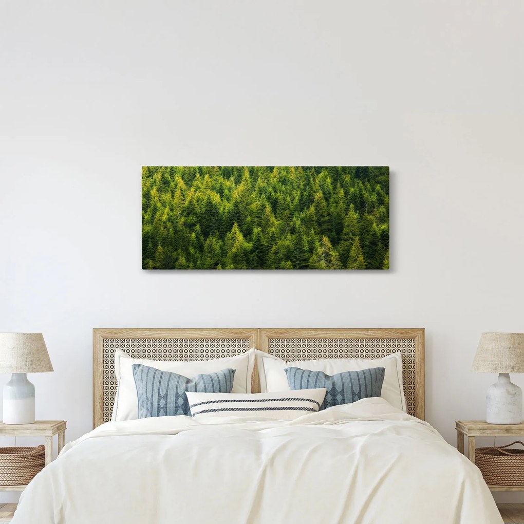 Obraz - Hustý les (120x50 cm)