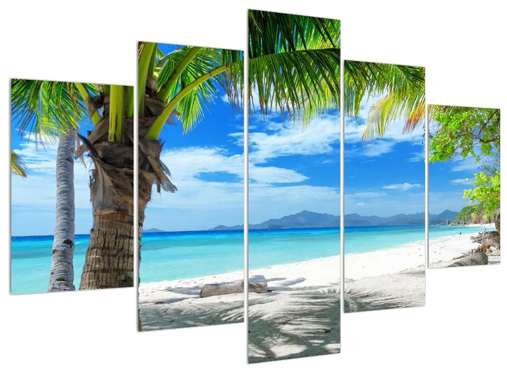 Obraz palmy a pláže (150x105 cm)