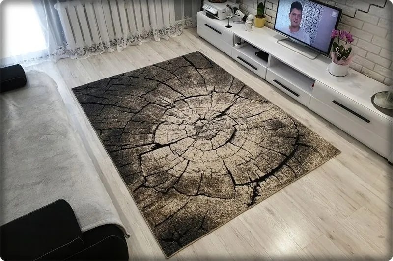 Dekorstudio Vintage koberec Drevo Rozmer koberca: 160x220cm