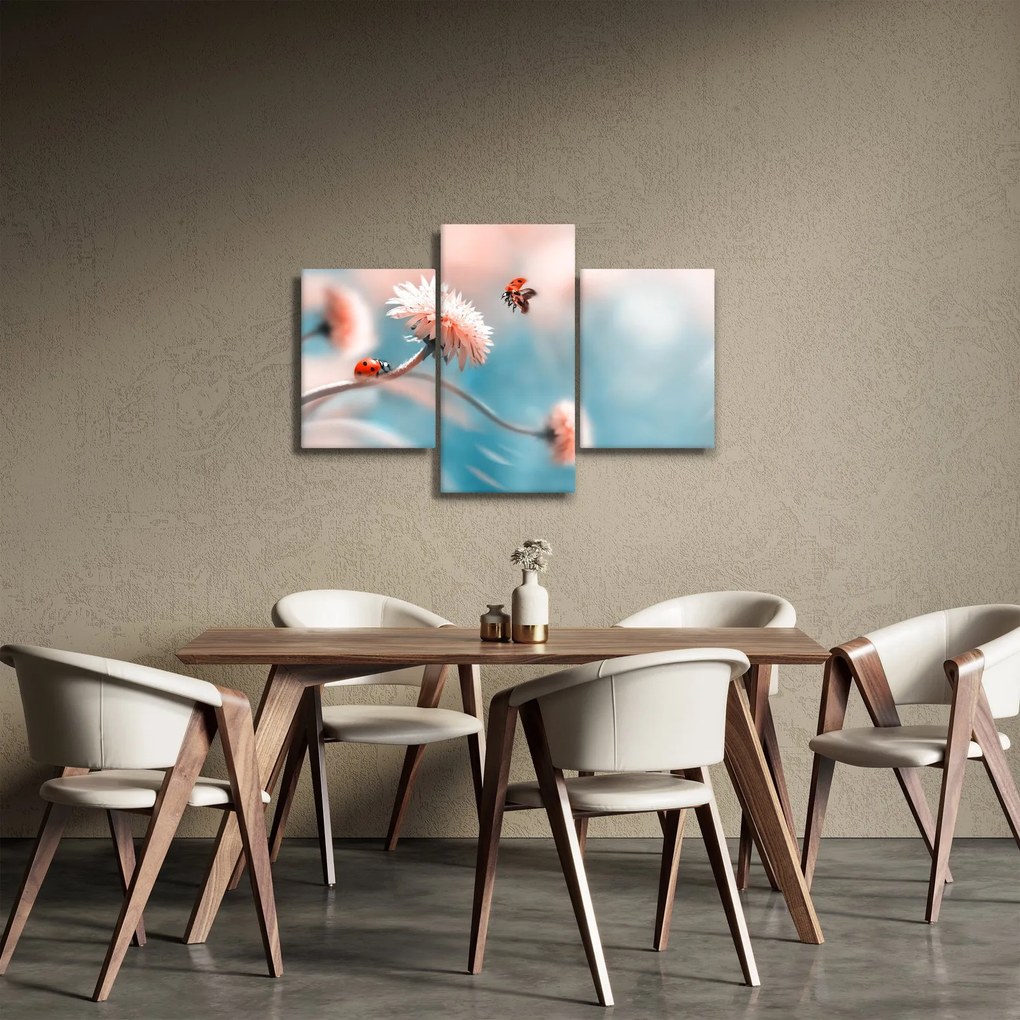 Obraz - Lienky na kvete (90x60 cm)