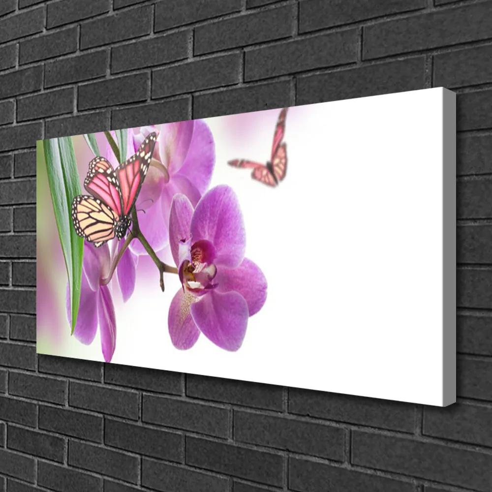 Obraz Canvas Motýle kvety príroda 120x60 cm