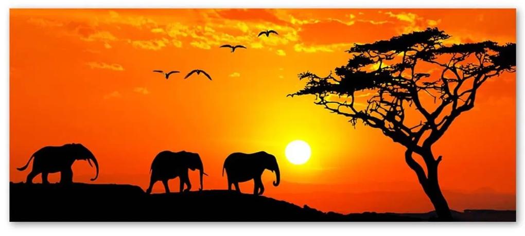 Obraz na plátně, Afrika Západ slunce Sloni - 90x30 cm
