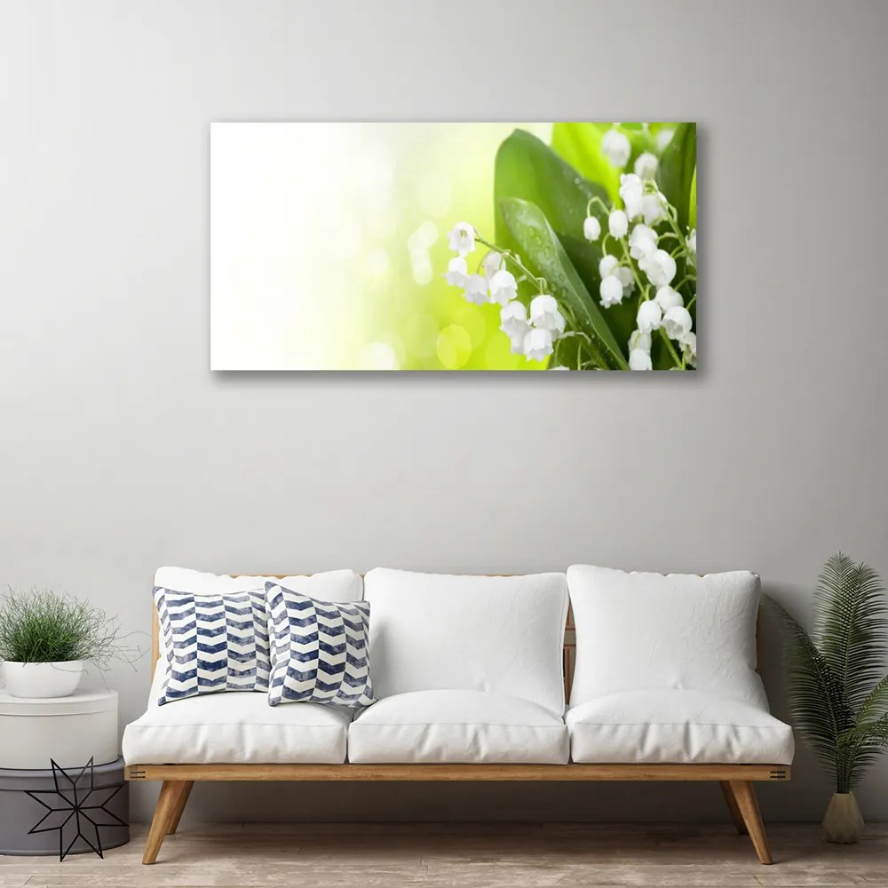 Obraz Canvas Konvalinky listy kvety lúka 120x60 cm