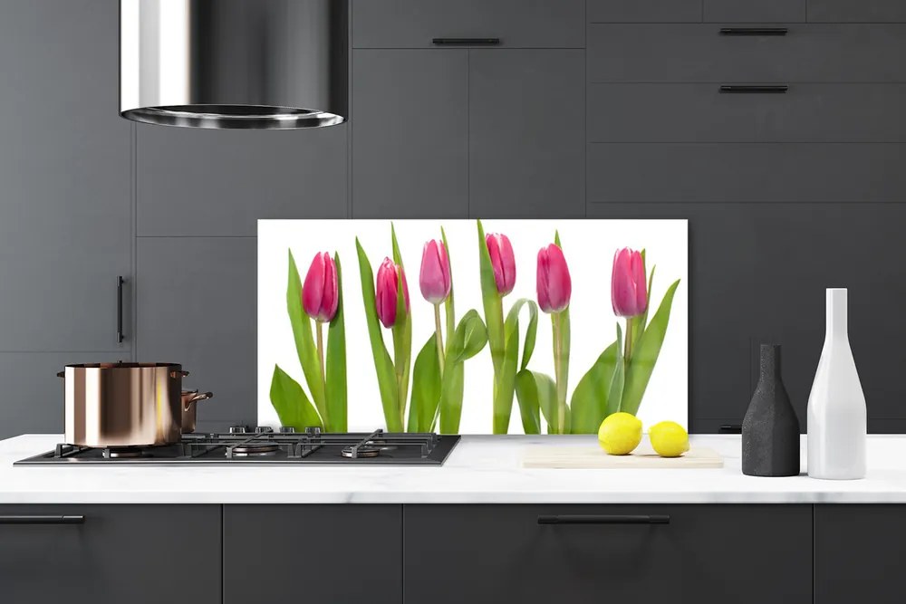 Sklenený obklad Do kuchyne Tulipány kvety rastlina 100x50 cm