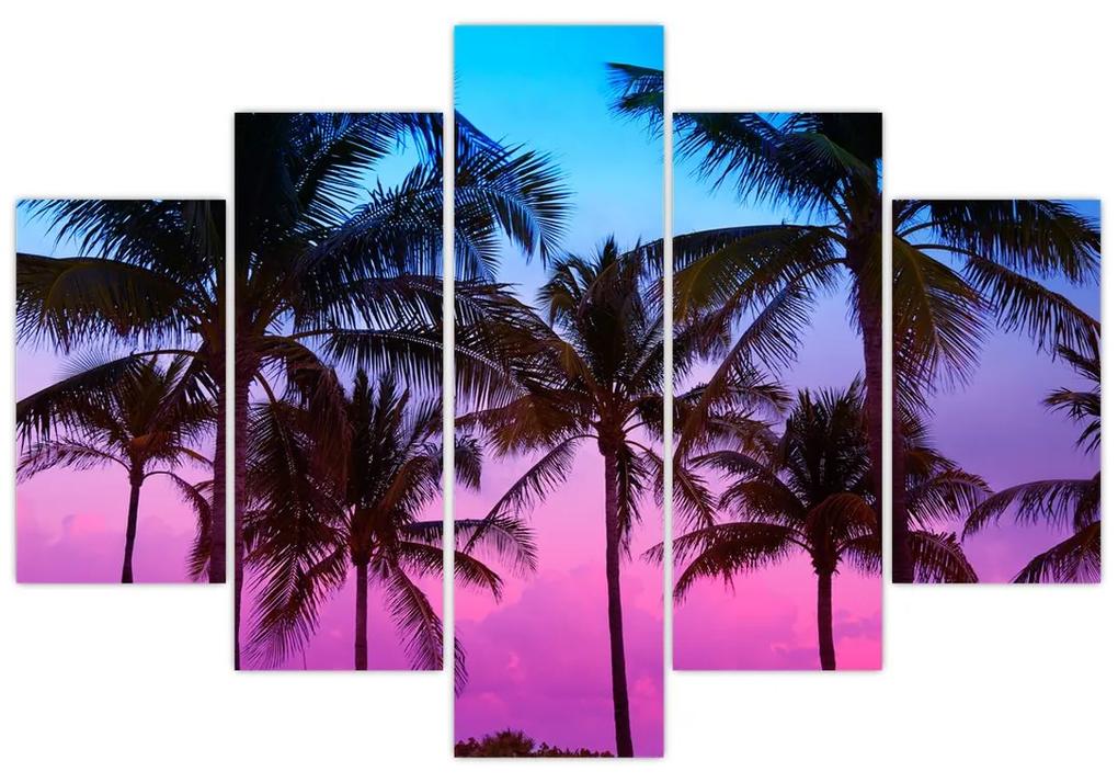 Obraz - Palmy v Miami (150x105 cm)