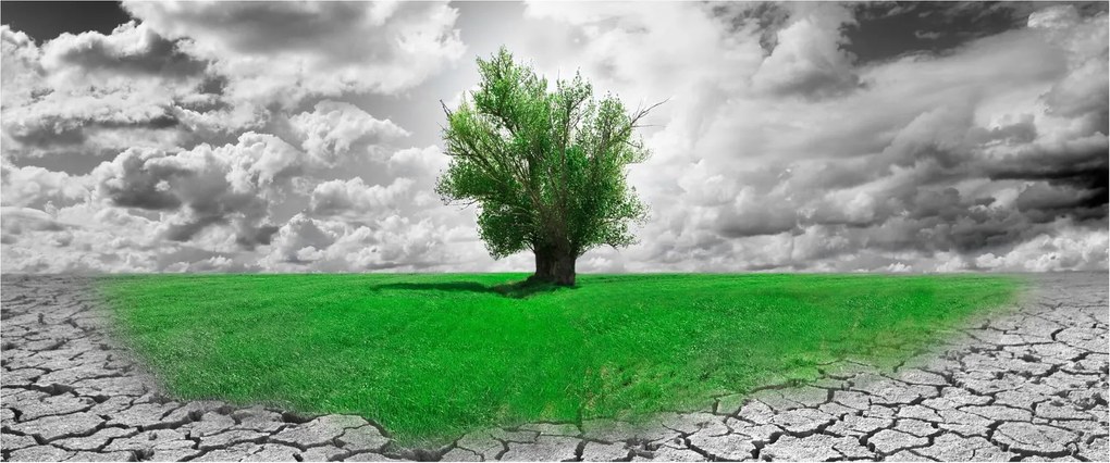 Obraz - Kus prírody v meste (120x50 cm)