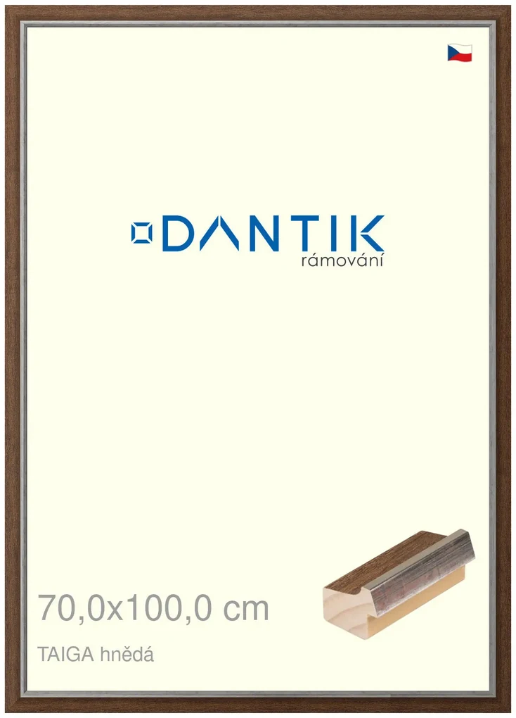 DANTIK rám na obraz 70x100 | TAIGA hnědá (Plexi Čiré)