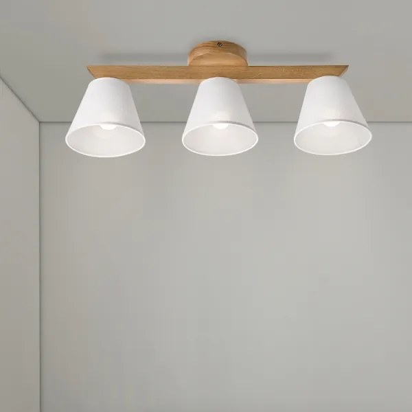 Brilagi - LED  Prisadený luster ANTHONY 3xE14/40W/230V dub/biela