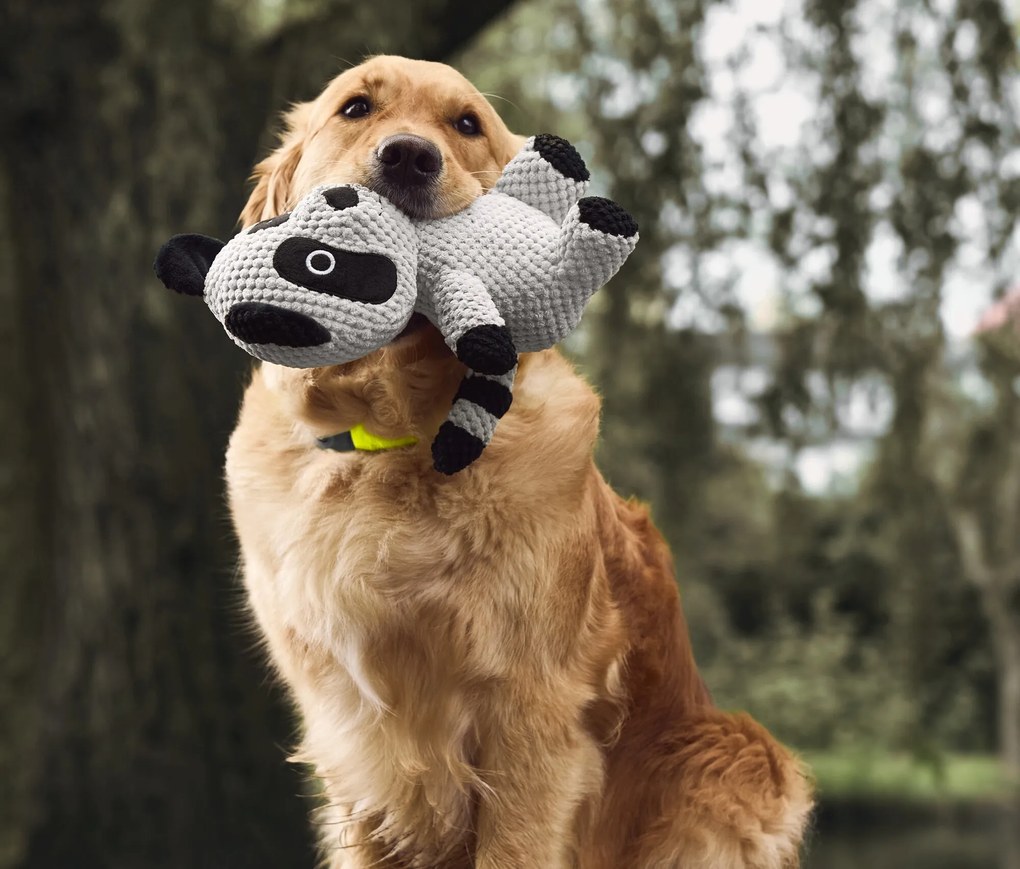 Plyšová hračka pre psy »Waschbär«