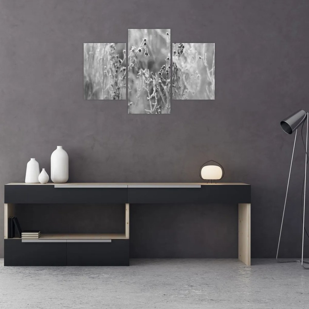 Obraz - Divoká lúka (90x60 cm)
