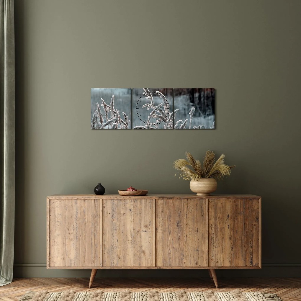 Obraz - Zamrznutá lúka (s hodinami) (90x30 cm)
