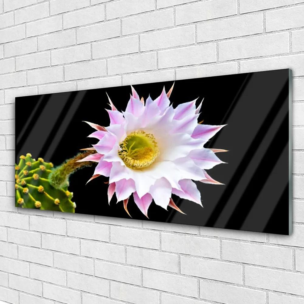 Obraz na akrylátovom skle Kvet 125x50 cm