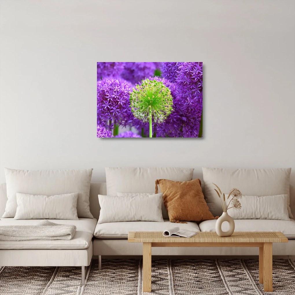 Sklenený obraz kvetu (70x50 cm)