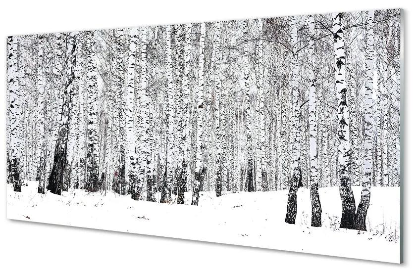 Sklenený obraz zimný brezy 120x60 cm