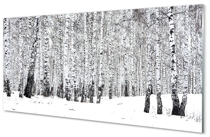 Sklenený obraz zimný brezy 125x50 cm