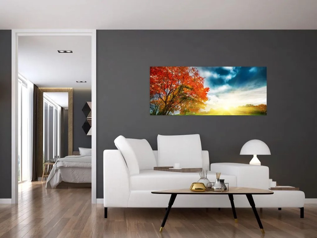 Obraz krajiny zaliate slnečným svitom (120x50 cm)