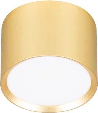 BRILAGI - LED RGB stmievateľné bodové svietidlo SMOOTH 1xGX53/14W/230V 60x82 mm Wi-Fi Tuya zlatá