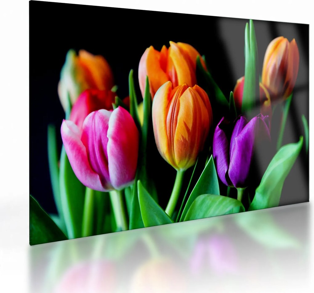 Sklenený obraz tulipánov na čiernom pozadí (70x50 cm)
