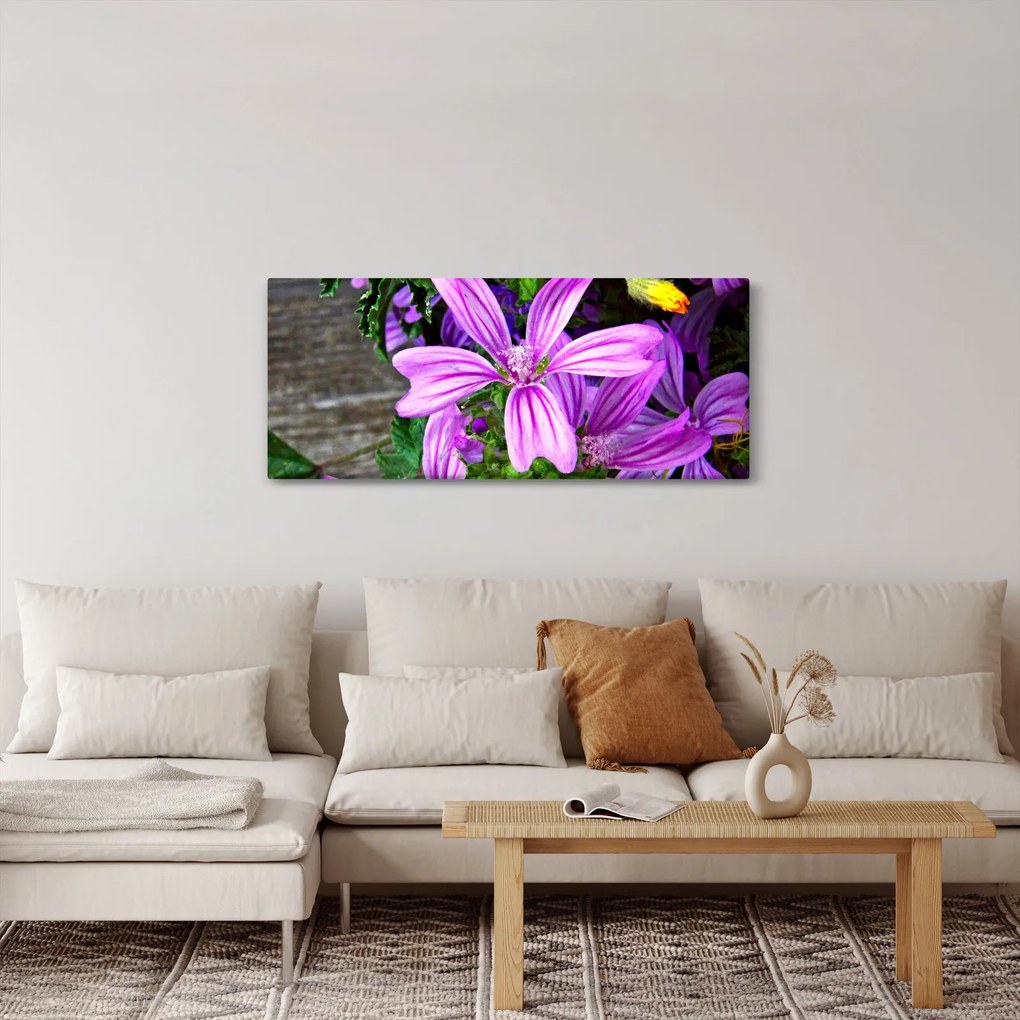 Obraz - lúčne kvety (120x50 cm)