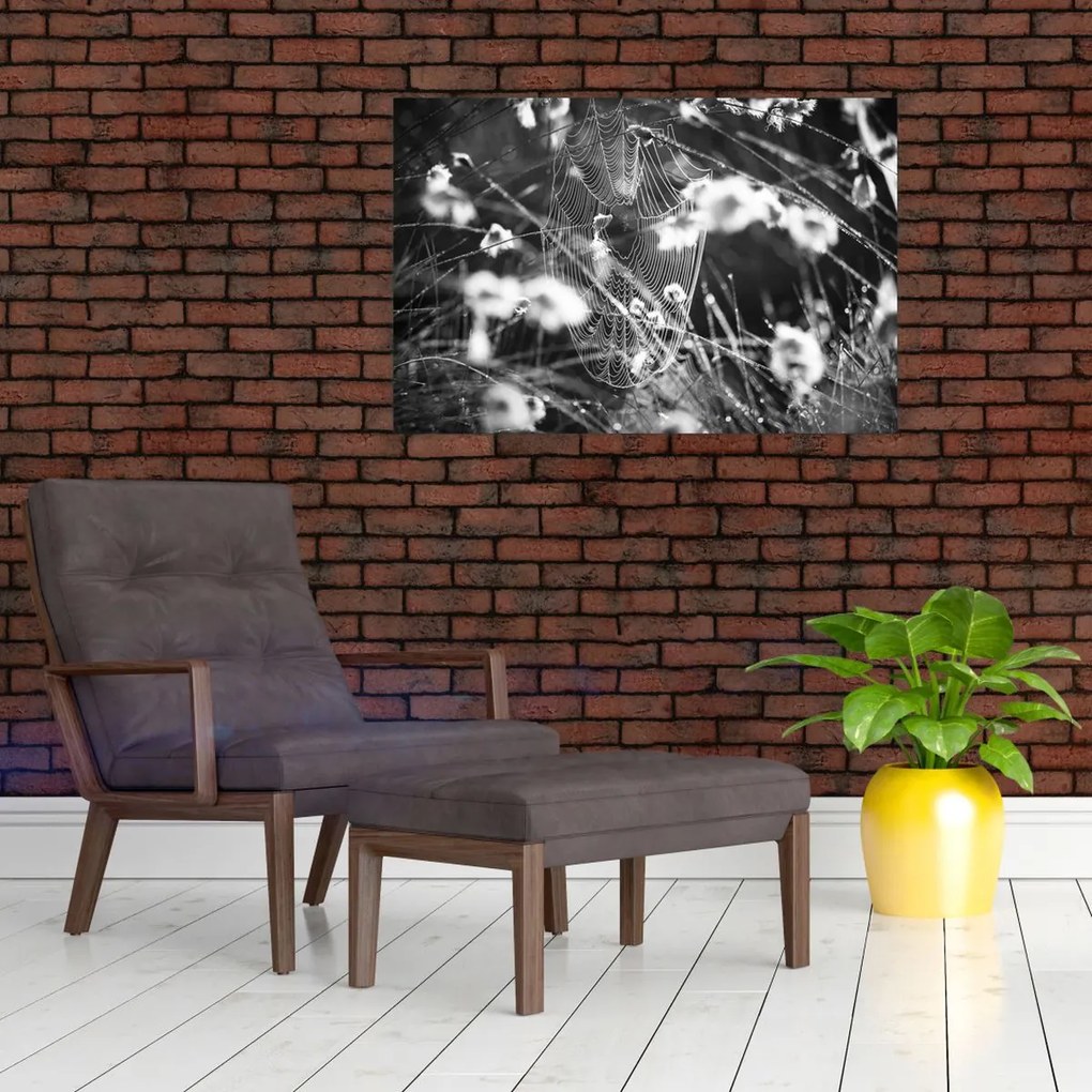 Obraz - Pavučina na lúke (90x60 cm)