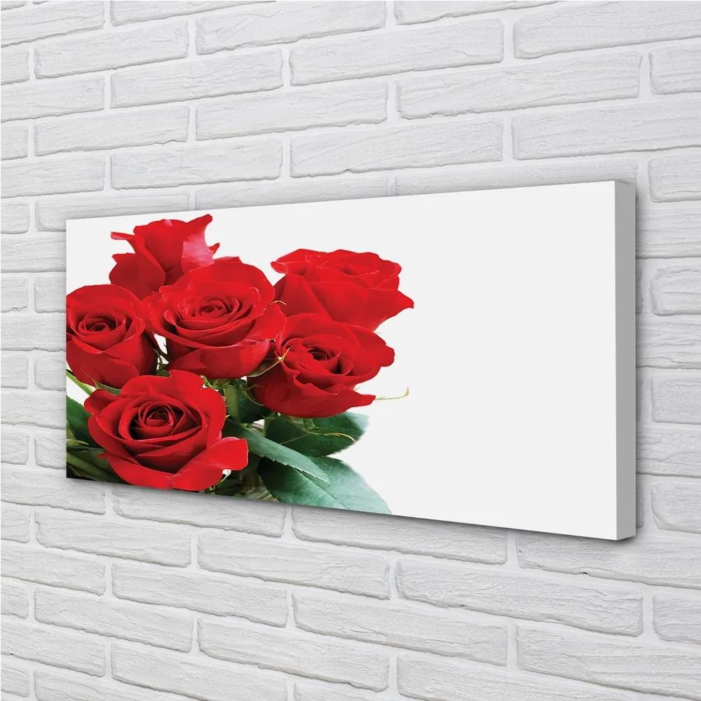 Obraz canvas Kytica ruží 120x60 cm