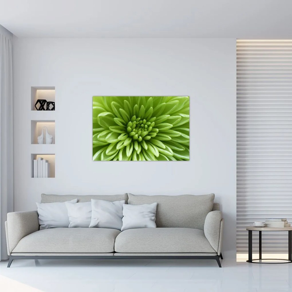 Obraz - Makro snímka rastliny (90x60 cm)
