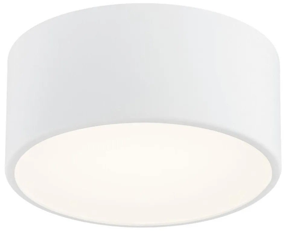 Argon Argon 3885 - LED Stropné svietidlo VICHY LED/13,5W/230V biela AR3885