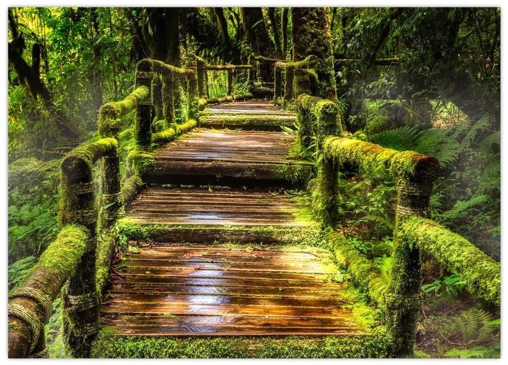 Sklenený obraz schodov v dažďovom pralese (70x50 cm)