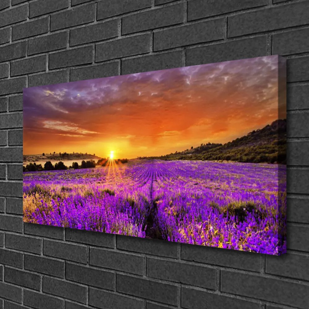 Obraz Canvas Západ slnka pole levanduľa 120x60 cm