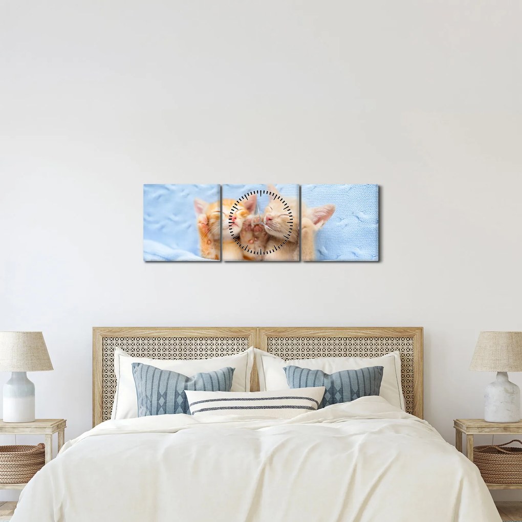 Obraz - Spiace mačiatka (s hodinami) (90x30 cm)