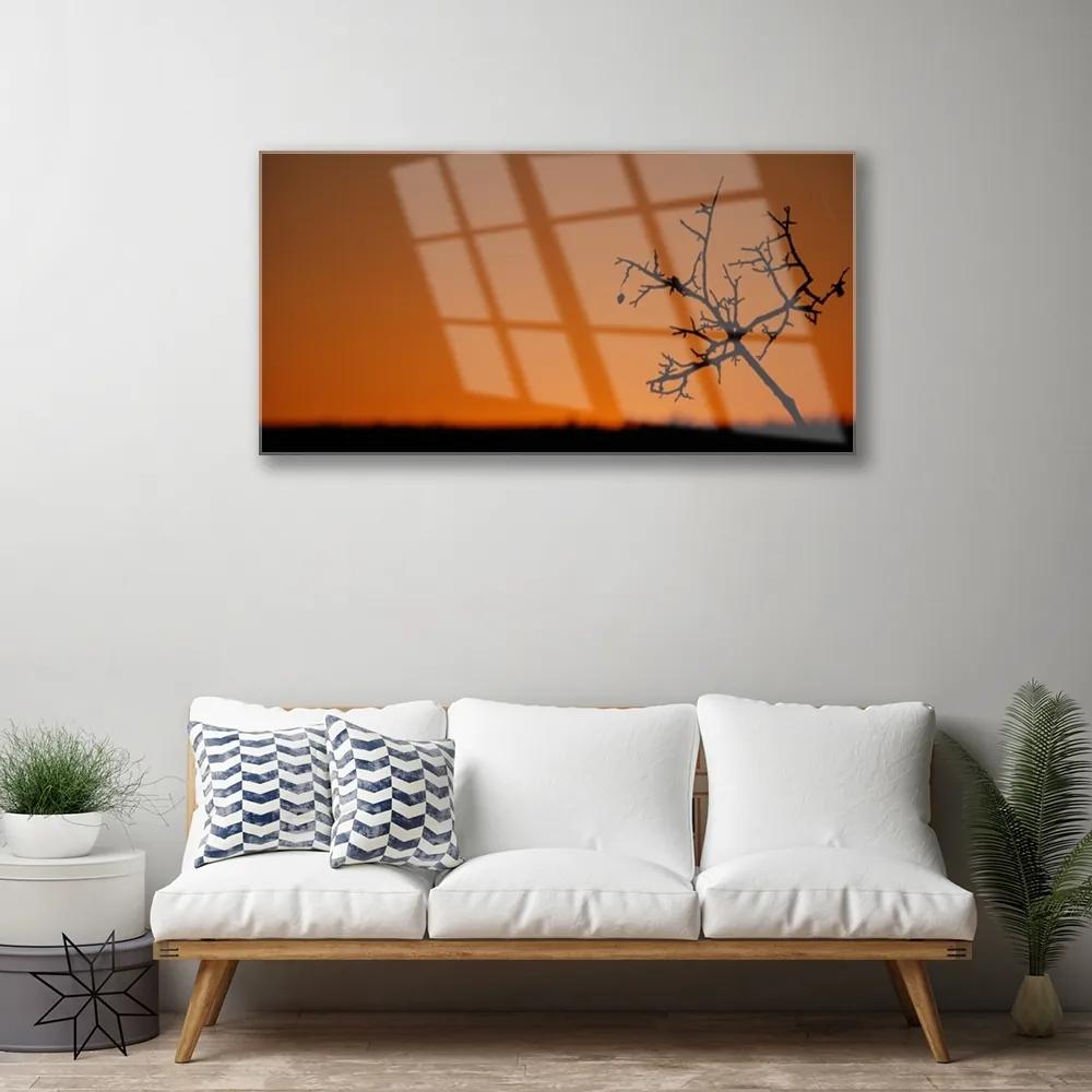 Obraz na akrylátovom skle Strom umenie 100x50 cm