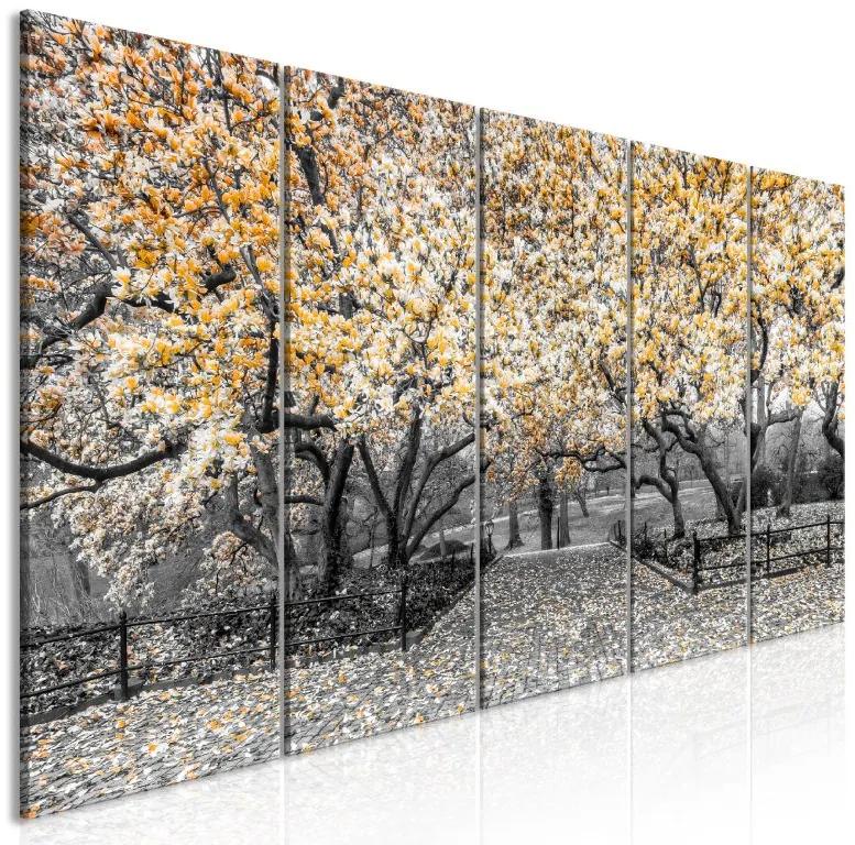 Artgeist Obraz - Magnolia Park (5 Parts) Narrow Orange Veľkosť: 200x80, Verzia: Premium Print