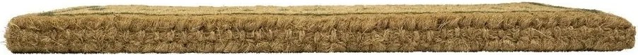Veľká rohožka pred dvere s motívom jelena- 75 * 45 * 4cm