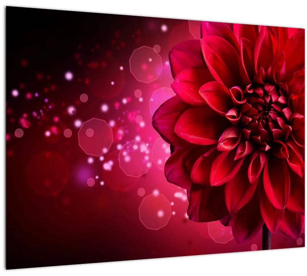 Obraz červené kvety (70x50 cm)
