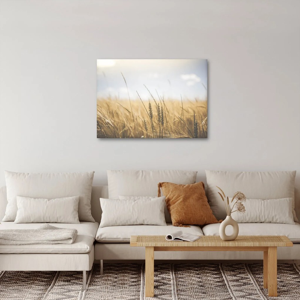 Obraz obilia (70x50 cm)