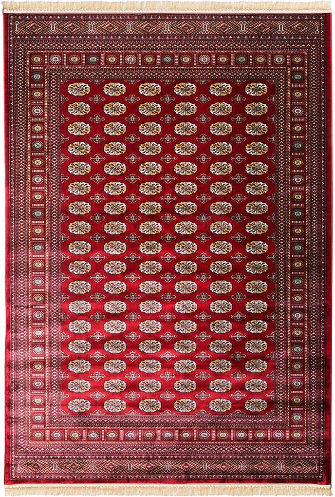 Koberec KIRMA ORIENTAL červený - 200x300 cm