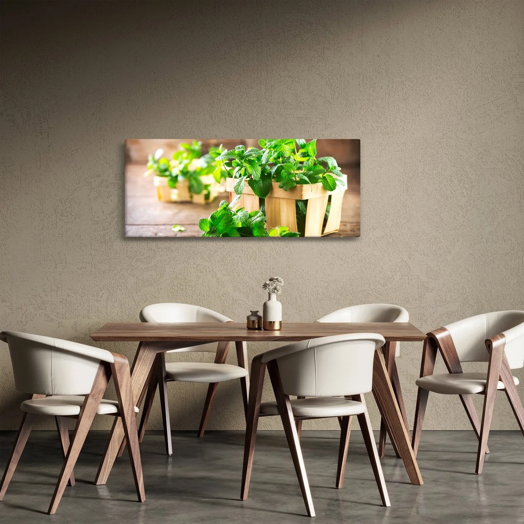 Obraz čerstvej mäty (120x50 cm)