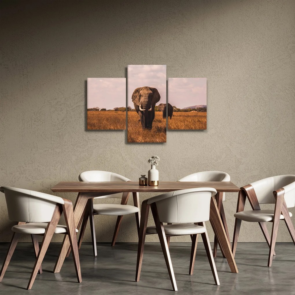 Obraz - Príchod slona (90x60 cm)