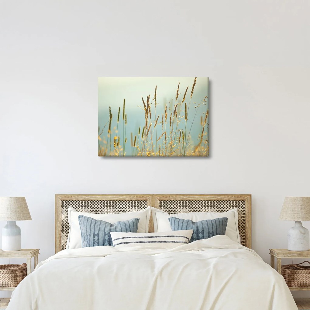Obraz - Lúčny okamih (70x50 cm)