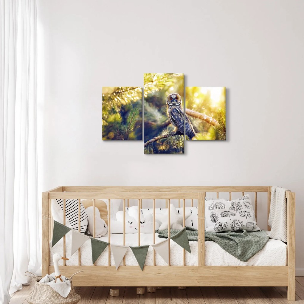 Obraz sovy na strome (90x60 cm)