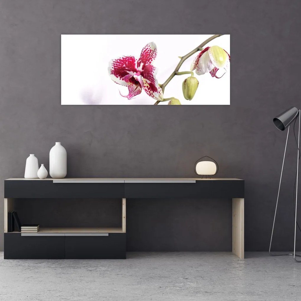 Obraz kvetu orchidey (120x50 cm)